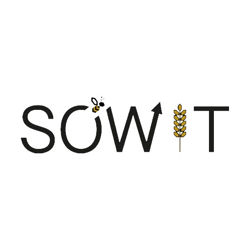 Logo Sowit